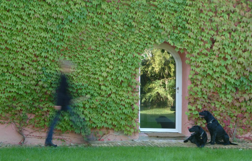 Le Versegge Resort Braccagni Cameră foto